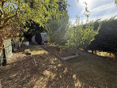 Picture 29